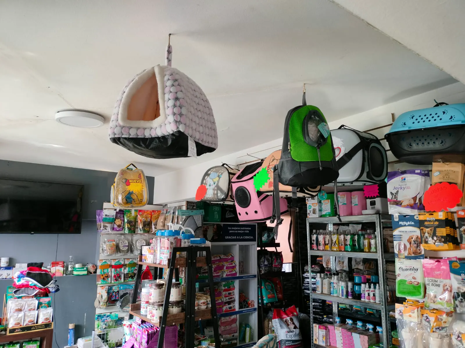 Interior de la tienda: cama para gato colgada del techo, mochilas y transportadores, y estantes con alimento y snacks
